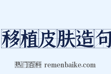 移植皮肤造句是什么意思的图片